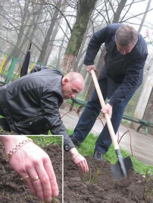 Прикрепленное изображение: cepi-kolca.jpg